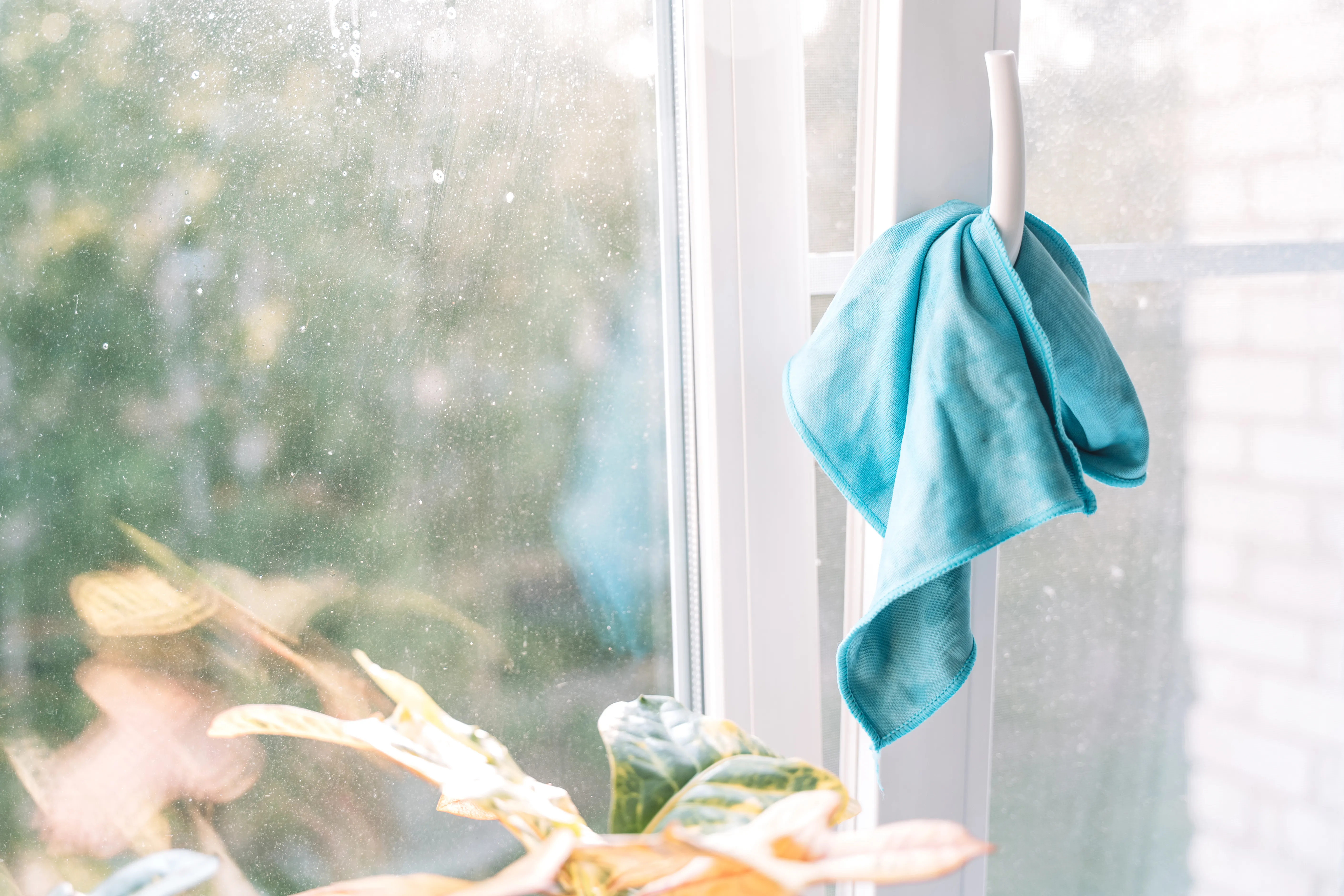 Microfiber cloth window cleaning — Ange Cleaning MN
