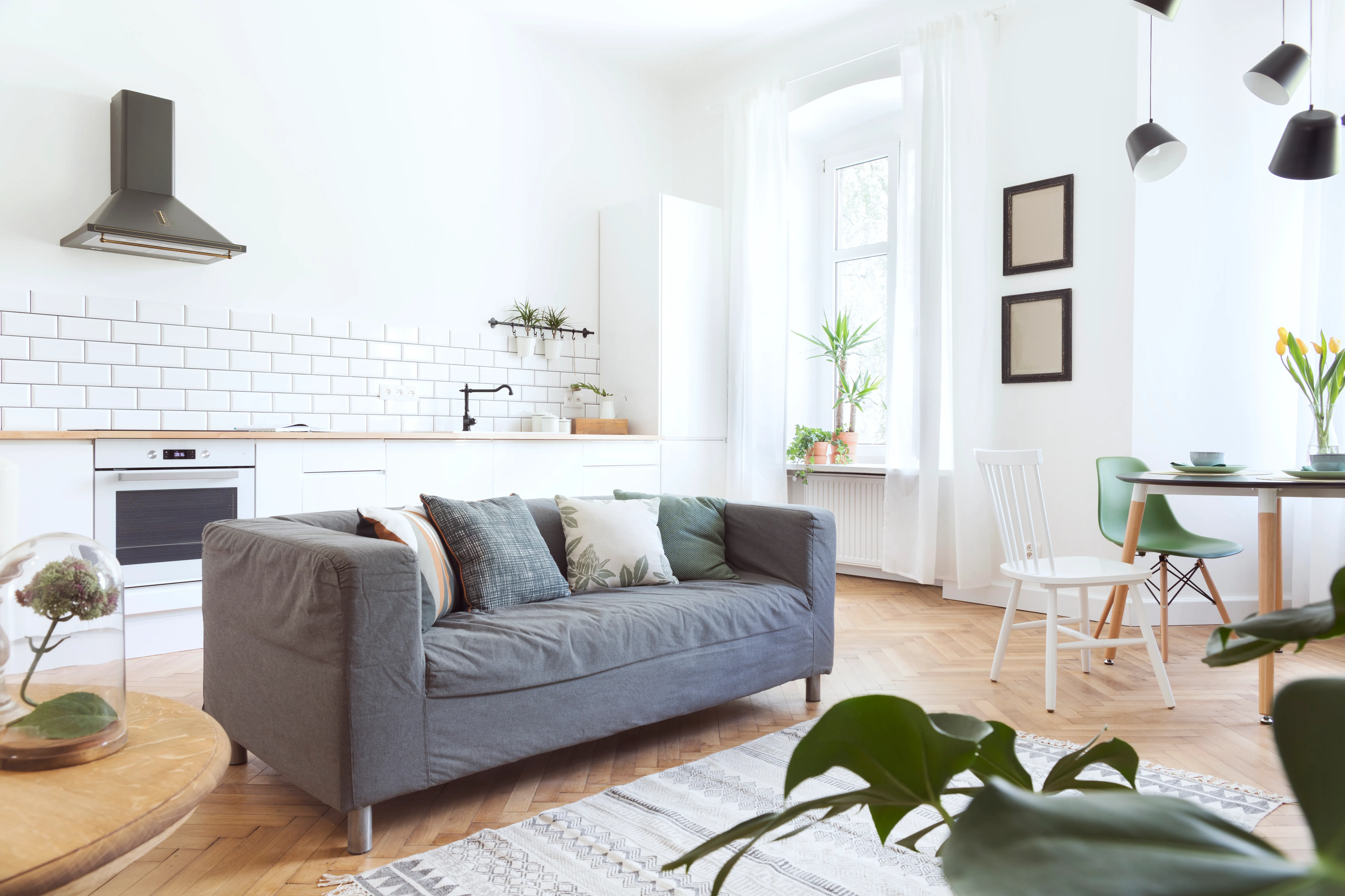 Deep cleaned living room composition — Ange Cleaning